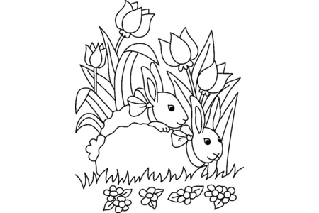 Coloriage Lapin 12 – 10doigts.fr