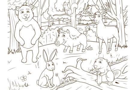 Coloriage Animaux-foret2 – 10doigts.fr