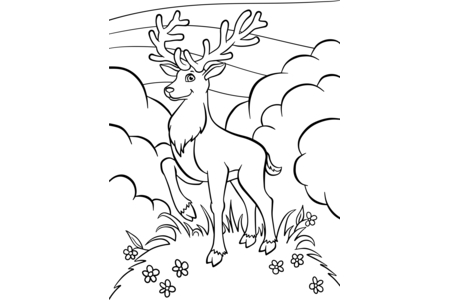 Coloriage Animaux-foret3 – 10doigts.fr