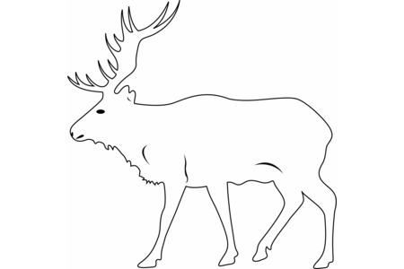 Coloriage Cerf 02 – 10doigts.fr