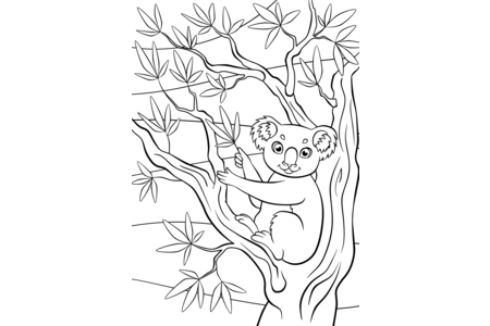 Coloriage Animaux-jungle5 – 10doigts.fr