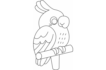 Coloriage Perruche 001 – 10doigts.fr