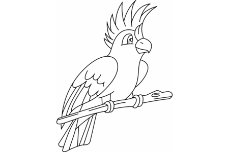 Coloriage Perruche 002 – 10doigts.fr