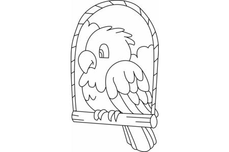 Coloriage Perruche 003 – 10doigts.fr