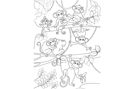 Coloriage Singe12 – 10doigts.fr