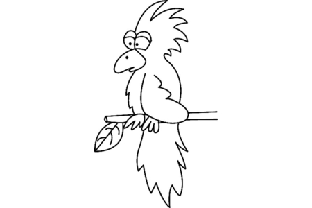 Coloriage Toucan04 – 10doigts.fr