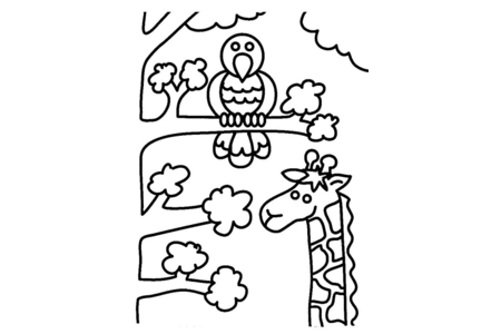 Coloriage Girafe et oiseau – 10doigts.fr
