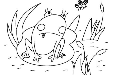 Coloriage Grenouille 01 – 10doigts.fr