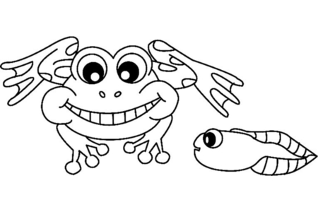 Coloriage Grenouille 04 – 10doigts.fr