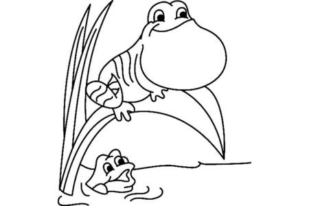 Coloriage Grenouille 05 – 10doigts.fr