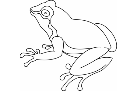 Coloriage Grenouille 07 – 10doigts.fr
