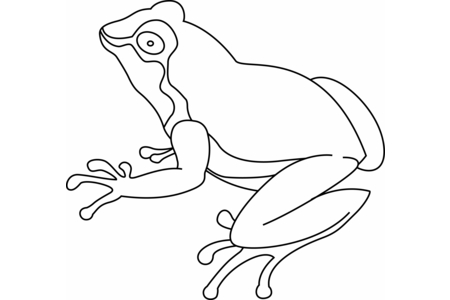 Coloriage Grenouille07 – 10doigts.fr