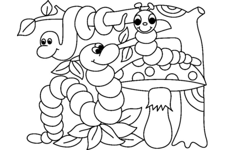 Coloriage Chenille 02 – 10doigts.fr
