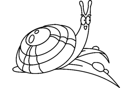 Coloriage Escargot 01 – 10doigts.fr