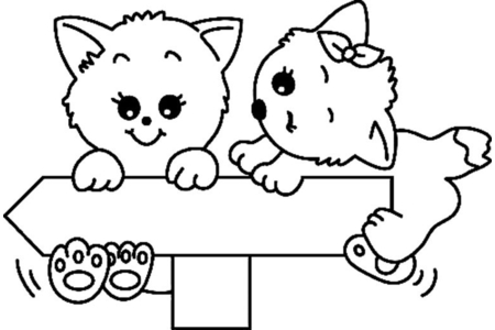Coloriage Chat 14 – 10doigts.fr