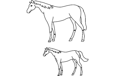 Coloriage Cheval02 – 10doigts.fr
