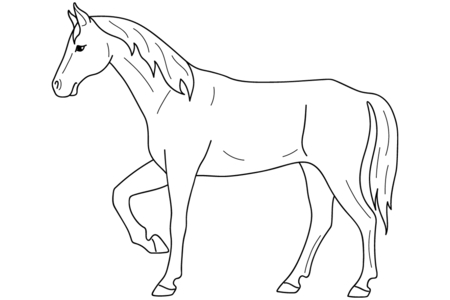 Coloriage Cheval08 – 10doigts.fr