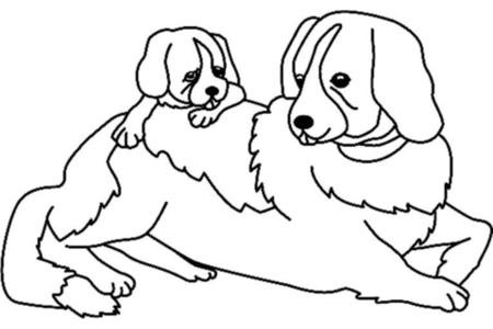 Coloriage Chien 07 – 10doigts.fr