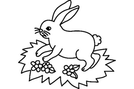 Coloriage Lapin 17 – 10doigts.fr