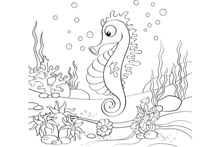 Coloriage Animaux-marins3 – 10doigts.fr
