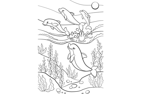Coloriage Animaux-marins4 – 10doigts.fr