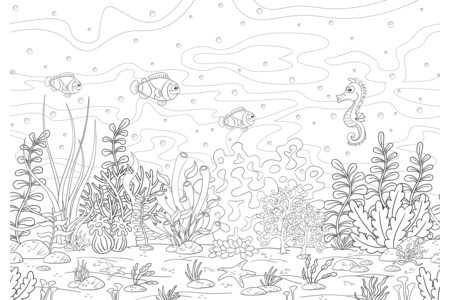 Coloriage Animaux-marins6 – 10doigts.fr