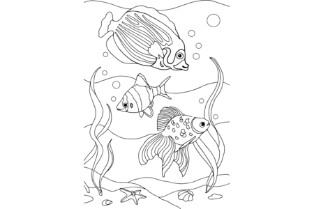 Coloriage Animaux-marins8 – 10doigts.fr