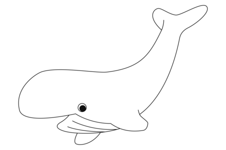 Coloriage Baleine 08 – 10doigts.fr