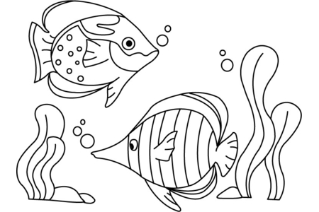 Coloriage Poisson 03 – 10doigts.fr