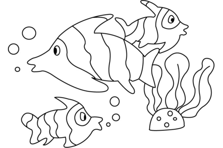 Coloriage Poisson 08 – 10doigts.fr