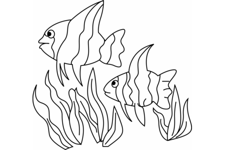 Coloriage Poisson 12 – 10doigts.fr