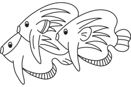 Coloriage Poisson 25 – 10doigts.fr