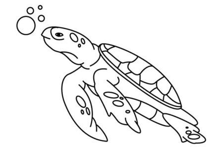 Coloriage Tortue 01 – 10doigts.fr