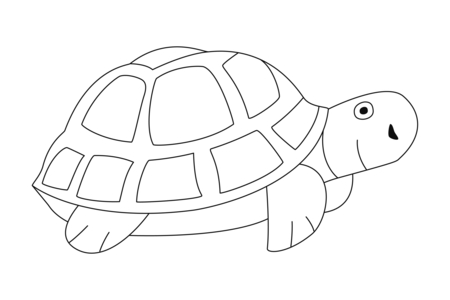 Coloriage Tortue 04 – 10doigts.fr