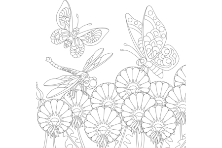 Coloriage Animaux-volants19 – 10doigts.fr