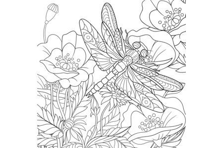 Coloriage Animaux-volants2 – 10doigts.fr