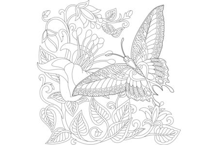 Coloriage Animaux-volants20 – 10doigts.fr