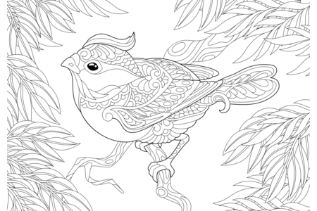 Coloriage Animaux-volants21 – 10doigts.fr