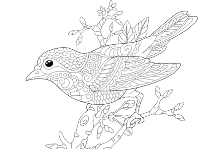 Coloriage Animaux-volants22 – 10doigts.fr