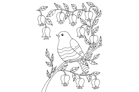 Coloriage Animaux-volants9 – 10doigts.fr