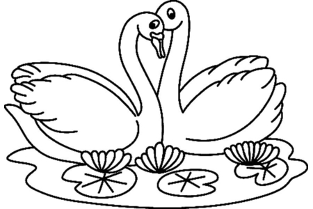 Coloriage Cygne 02 – 10doigts.fr