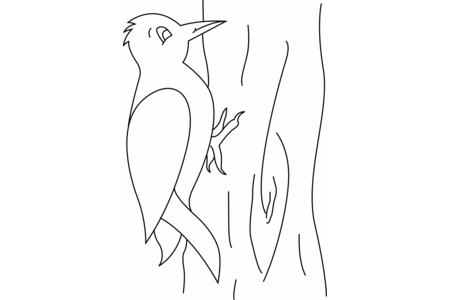 Coloriage Oiseau 12 – 10doigts.fr