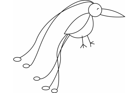 Coloriage Oiseau 25 – 10doigts.fr
