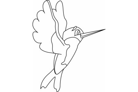 Coloriage Oiseau 33 – 10doigts.fr