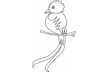 Coloriage Oiseau 36 – 10doigts.fr