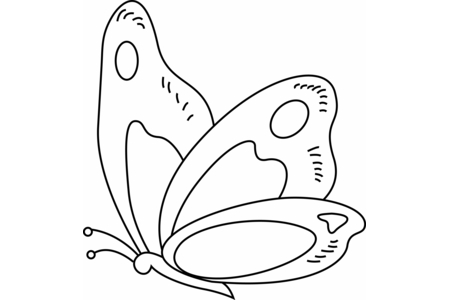 Coloriage Papillon 13 – 10doigts.fr
