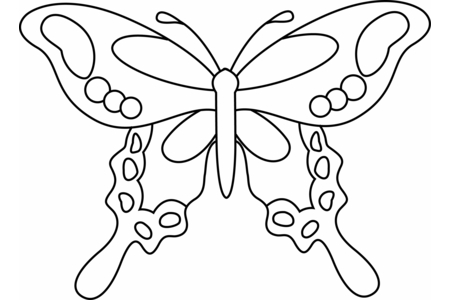 Coloriage Papillon 14 – 10doigts.fr