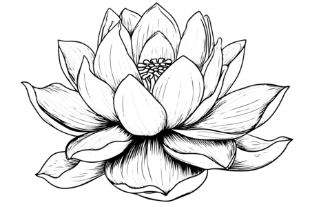 Coloriage Manga 13 – 10doigts.fr