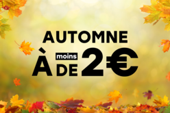 Loisirs créatifs d'Automne à moins de 2 € – 10doigts.fr