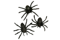 10 araignées noires - 4 cm